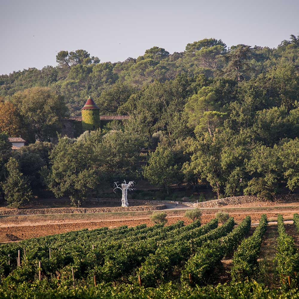 peyrassol-domaine-viticole-rose-paysage-vignobles Paysage du vignoble de Peyrassol, créant des vins rosés de Provence